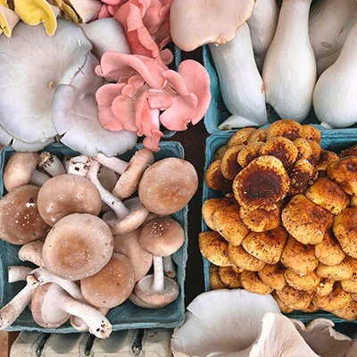 麦Clash - 3月23日19.9M/S|免费Shadowrocket节点/V2ray节点/SSR节点/Trojan节点/Singbox节点/Clash节点节点推荐，Clash机场购买推荐